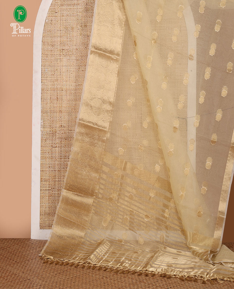 Cream semi-organza saree with zari buttas, zari border of temple & floral creeper designs, zari design pallu & running blouse