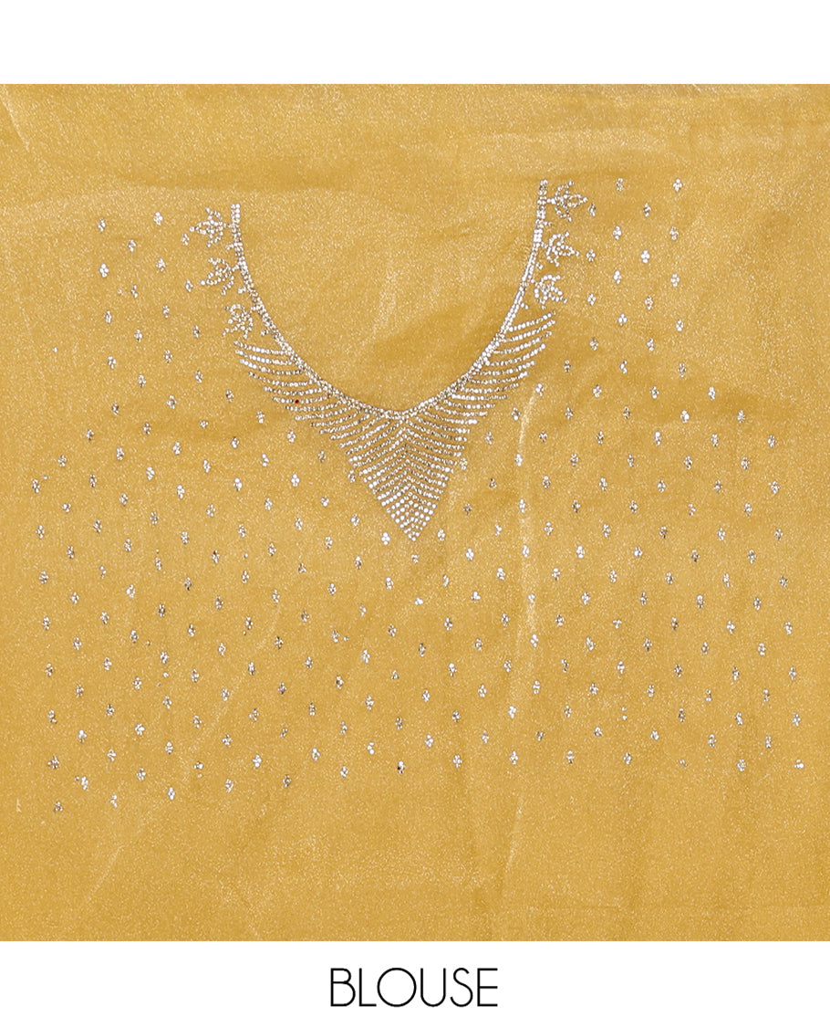 Gold Fendi Silk Saree, Enthralled with Swarovski Stonework Border, and a Stonework Blouse