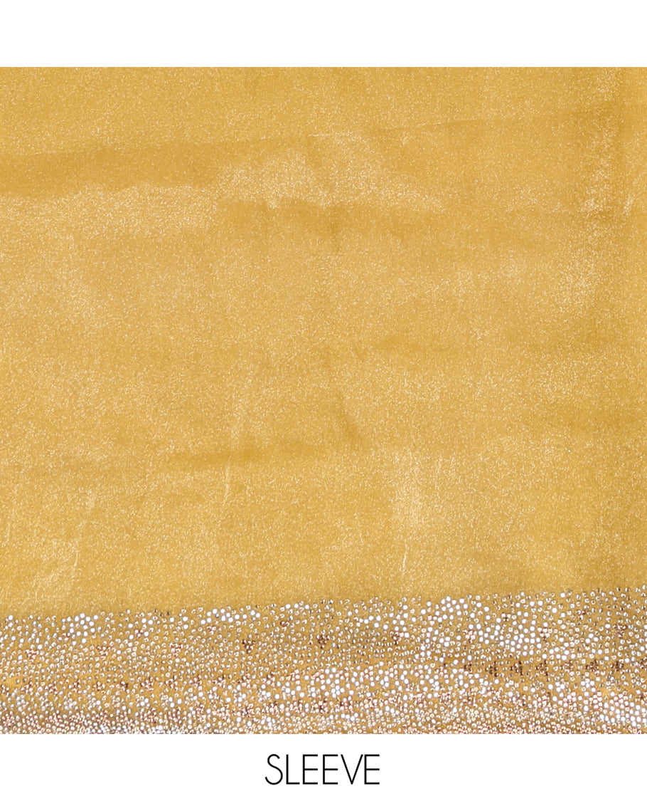 Gold Fendi Silk Saree, Enthralled with Swarovski Stonework Border, and a Stonework Blouse