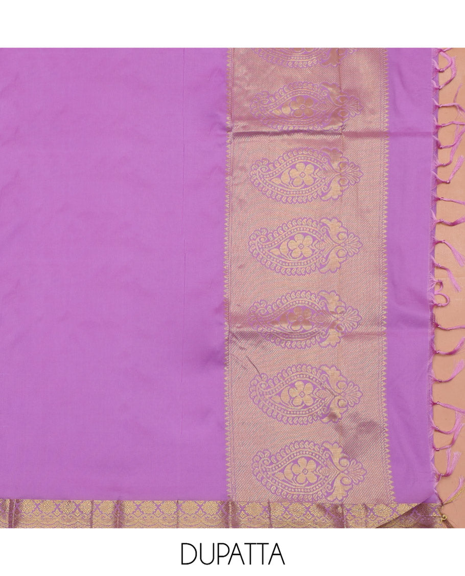 Orange Art Silk Material Half Saree Set, Decked Up with Jacquard Design Skirt, a Contrast Traditional Zari Border of Floral Creeper Designs, Contrast Zari-Jacquard Blouse, and a Dhavani of paisley Designs