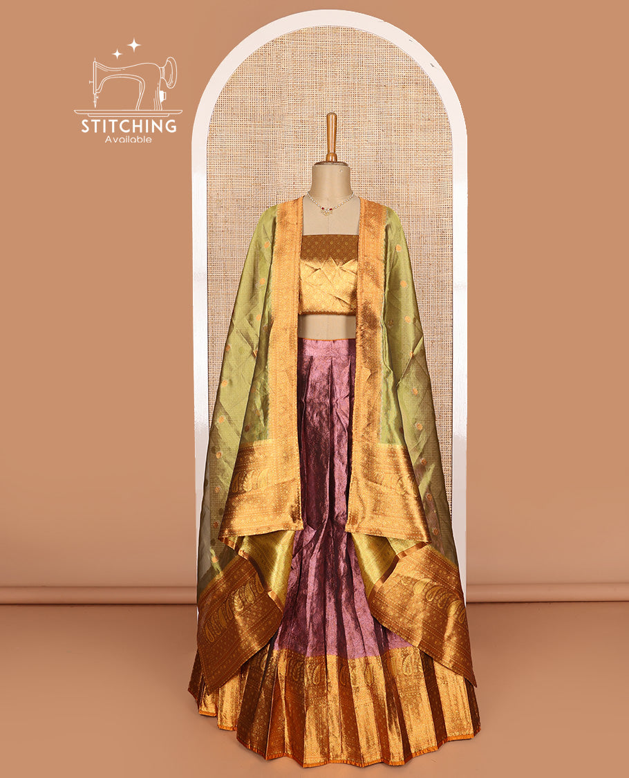 Brown art silk half-saree, sparsely design with contrast traditional motifs bordered skirt, contrast blouse, and traditional motif dhavani