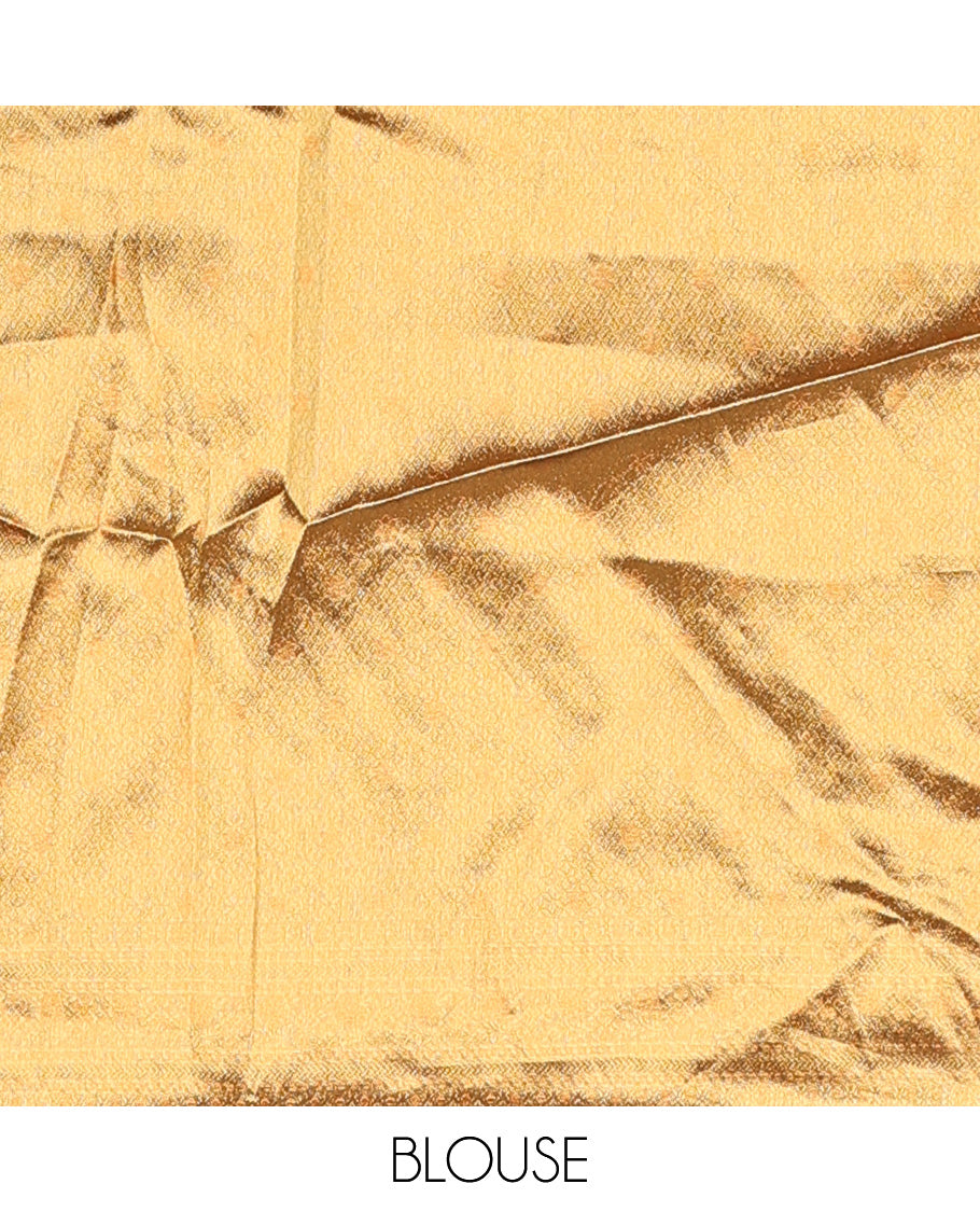 Brown art silk half-saree, sparsely design with contrast traditional motifs bordered skirt, contrast blouse, and traditional motif dhavani