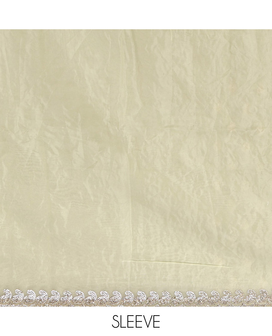 Pale Green Designer Saree, Prettified with Paisley Stone Work, Scallop Stone Work Border, a Self-Pallu, and a Matching Blouse