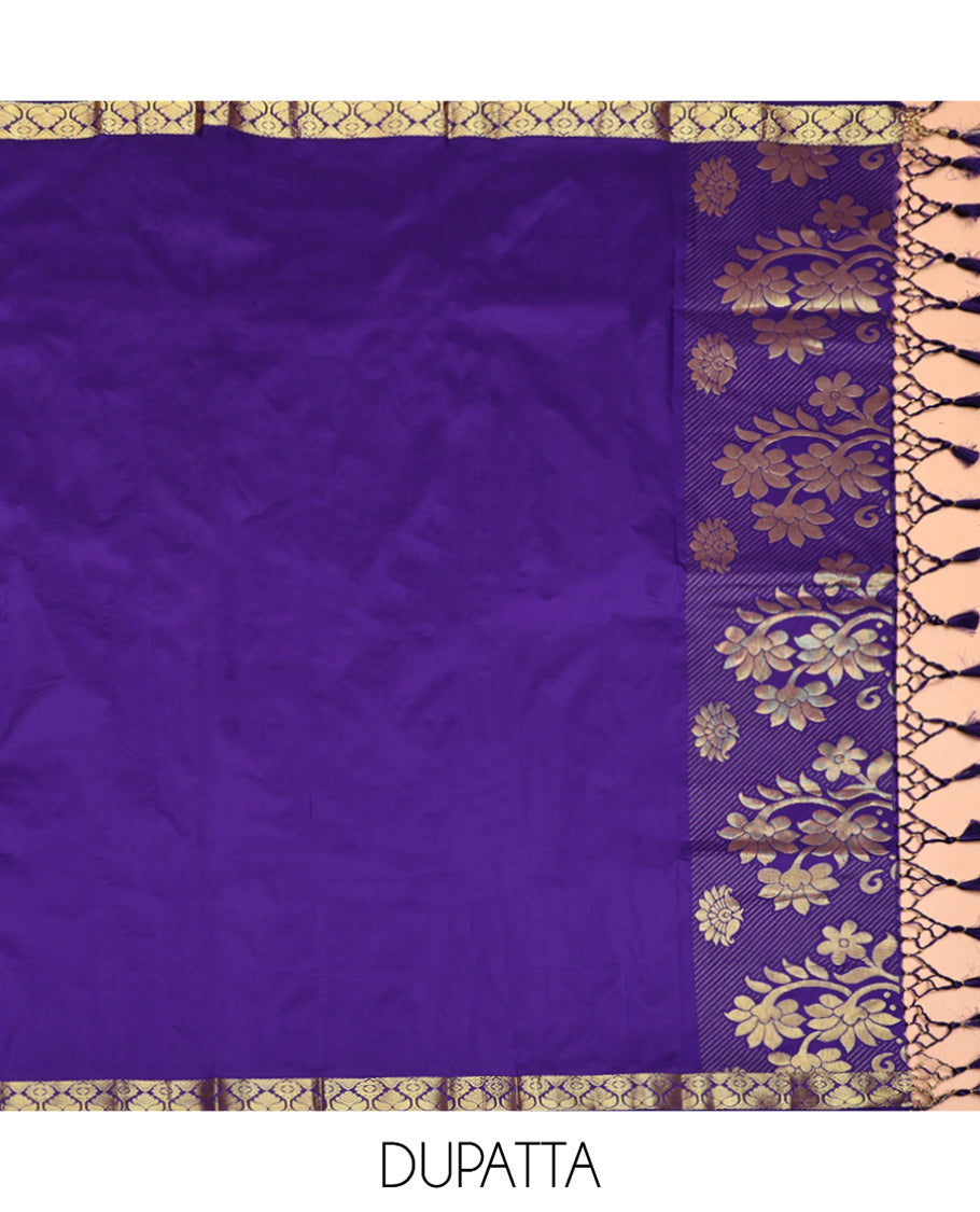 Green Art Silk Half-Saree, Spotlighted with Jacquard Design, Contrast Traditional Zari Border, Paired with a Contrast Jacquard Blouse, and an Intricate Dhavani