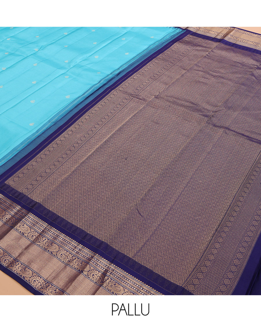 Blue Kanchipuram Silk Saree