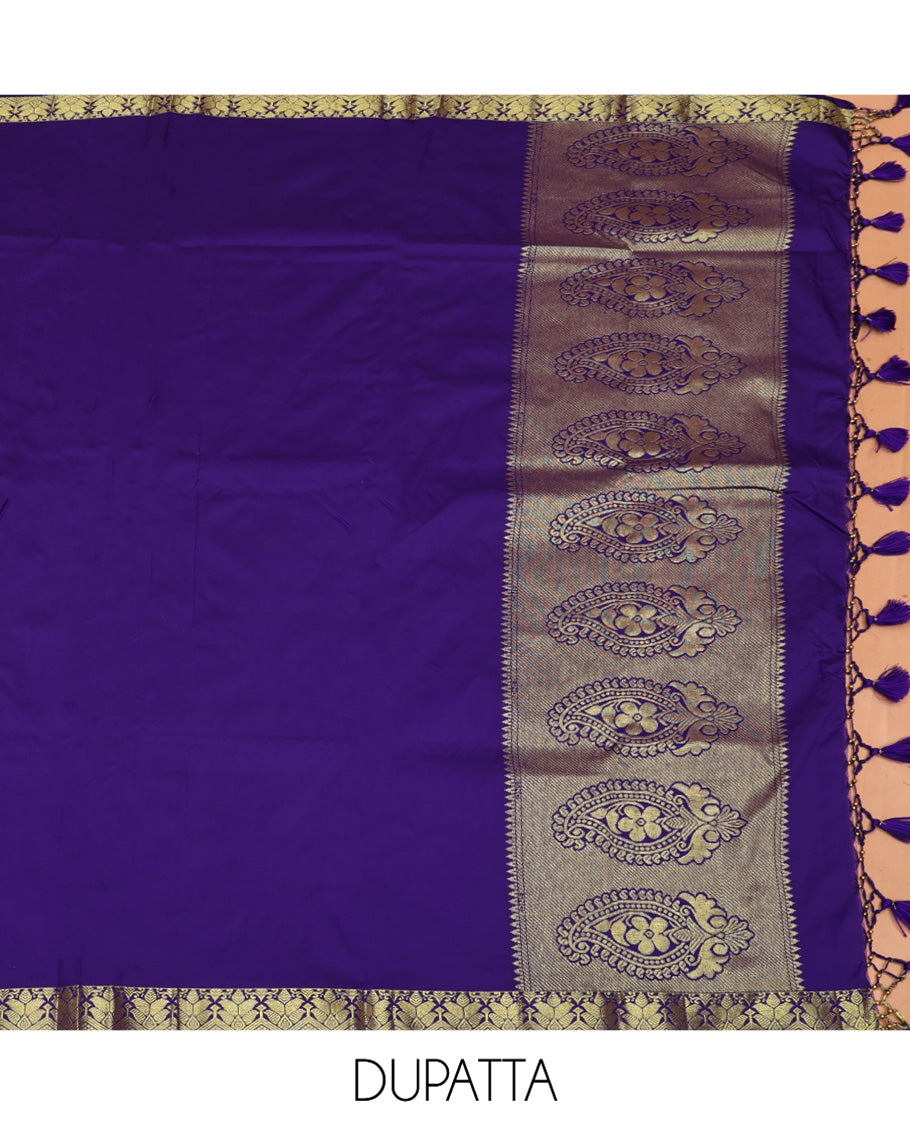 Pink Art Silk Material Half Saree Set, Embellished with Jacquard Design Skirt, a Contrast Meenakari Design Border, Contrast Blouse, and an Intricate Dhavani