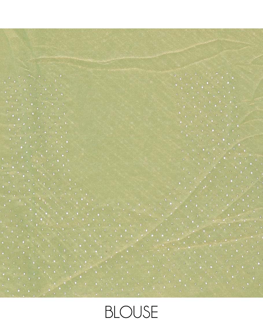 Green diagonal striped foli printed shimmer chiffon saree, scallop jarkan stone work border, self-pallu, and plain blouse