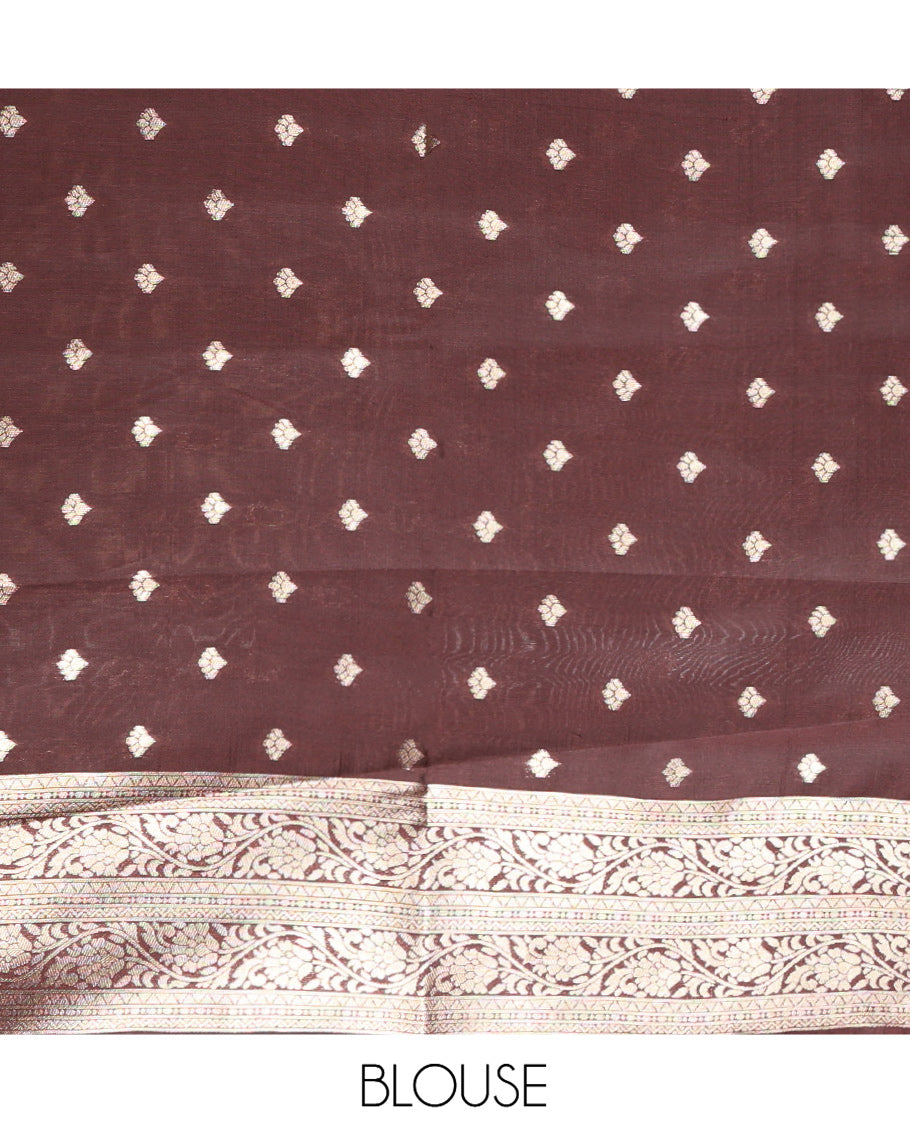 Brown Litchi Saree Features Tissue-Zari Weave, a Temple Kodi Visiry Border, Grand Pallu and a Matching Blouse
