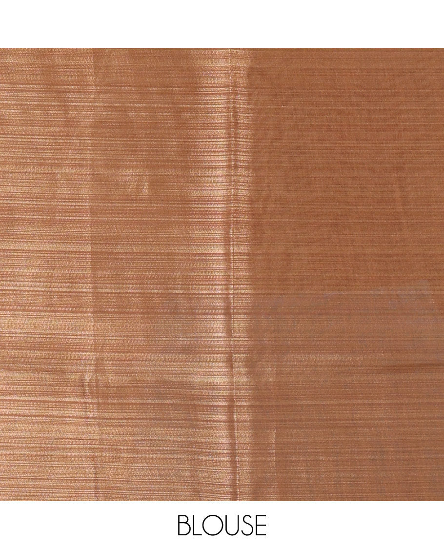 Cream plain body tissue saree with leaf vine printed border, printed pallu, and a contrast plain blouse