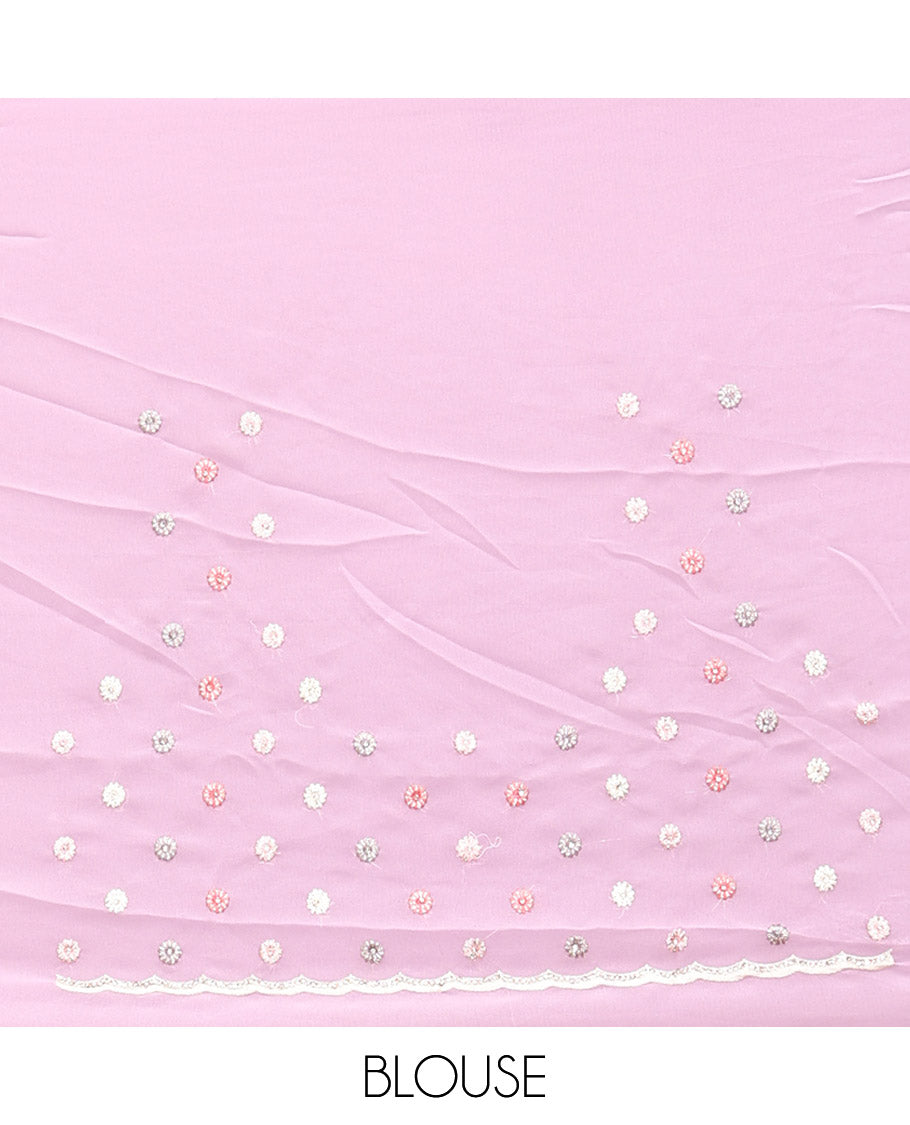 Pale Pink Designer Saree, Beautifully Bedecked with Floral Vine Embroidery, a Scallop Embroidered Border, and a Matching Blouse