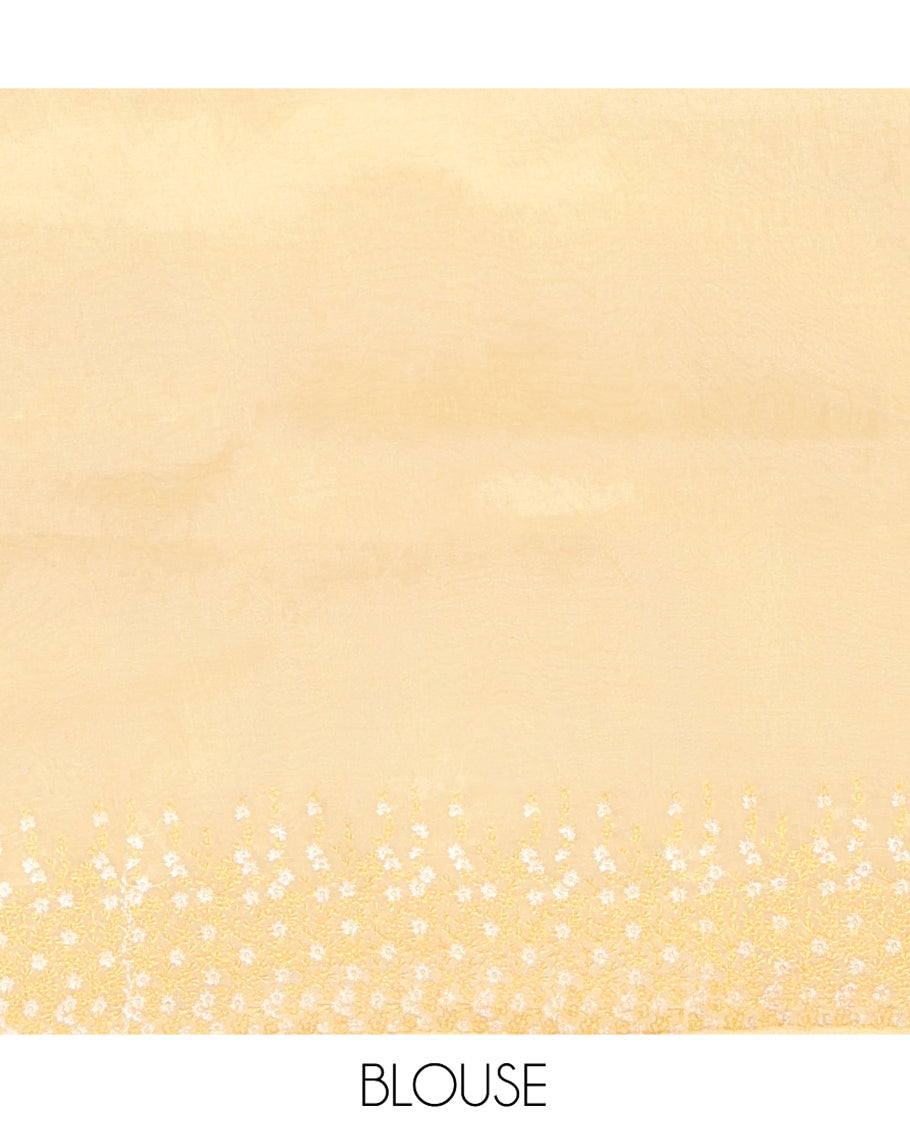 Pale Yellow Organza Saree, Detailed with Floral Embroidery, Scallop Floral Embroidery Border, and a Matching Blouse
