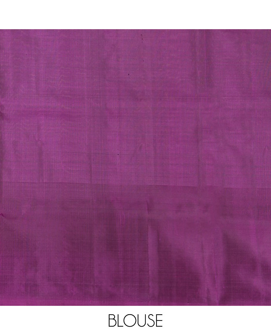 Brown buttas soft silk saree, contrast border of paisley and peacock designs, and pallu of intricate designs