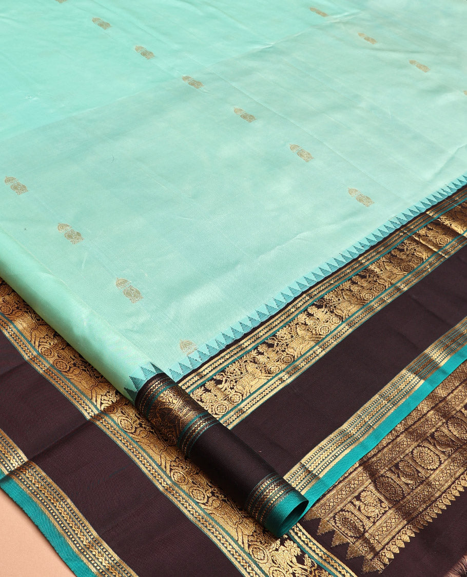 Rexsona Green and Navapalam Vasundhara Silk Saree