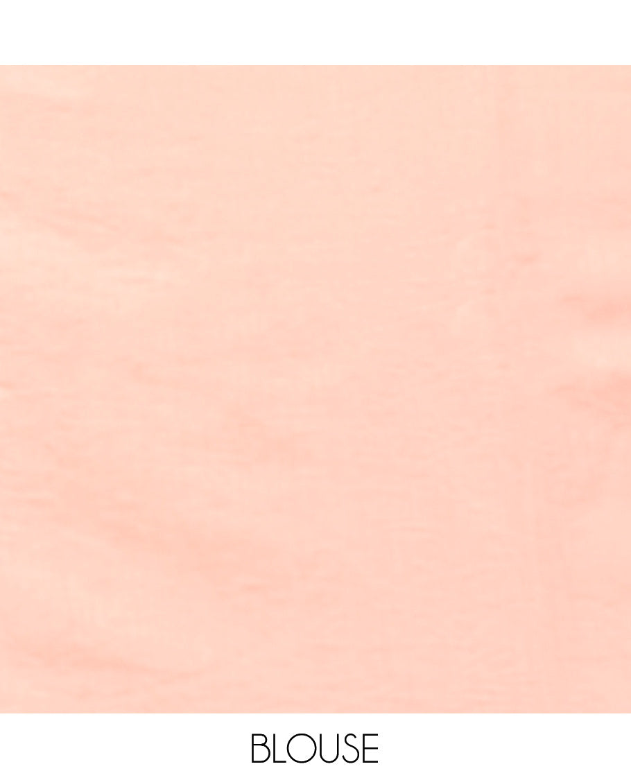 Pale Peach Organza Saree, Adorned with Floral Vine Design, a Lace Border, and a Matching Blouse