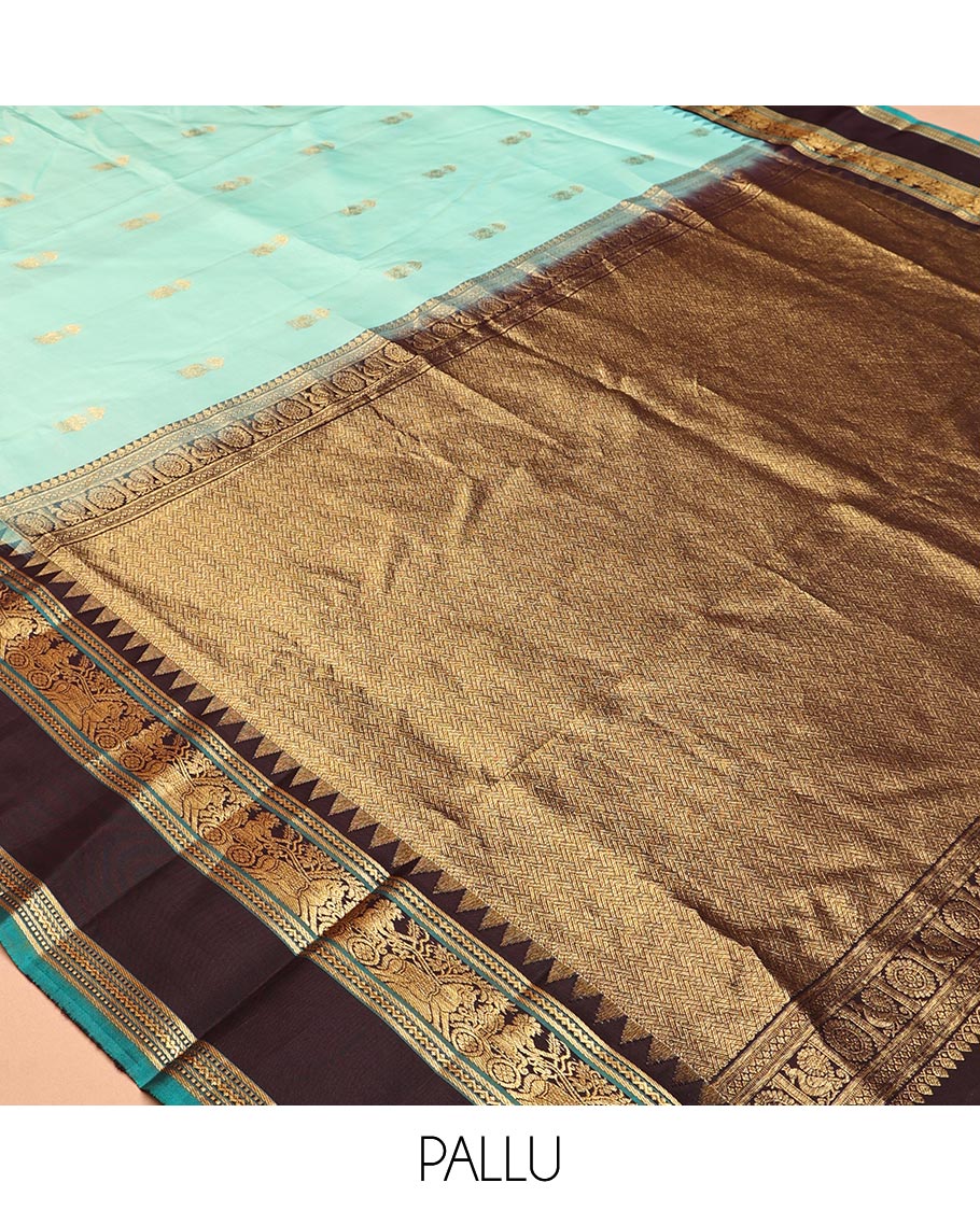 Rexsona Green and Navapalam Vasundhara Silk Saree