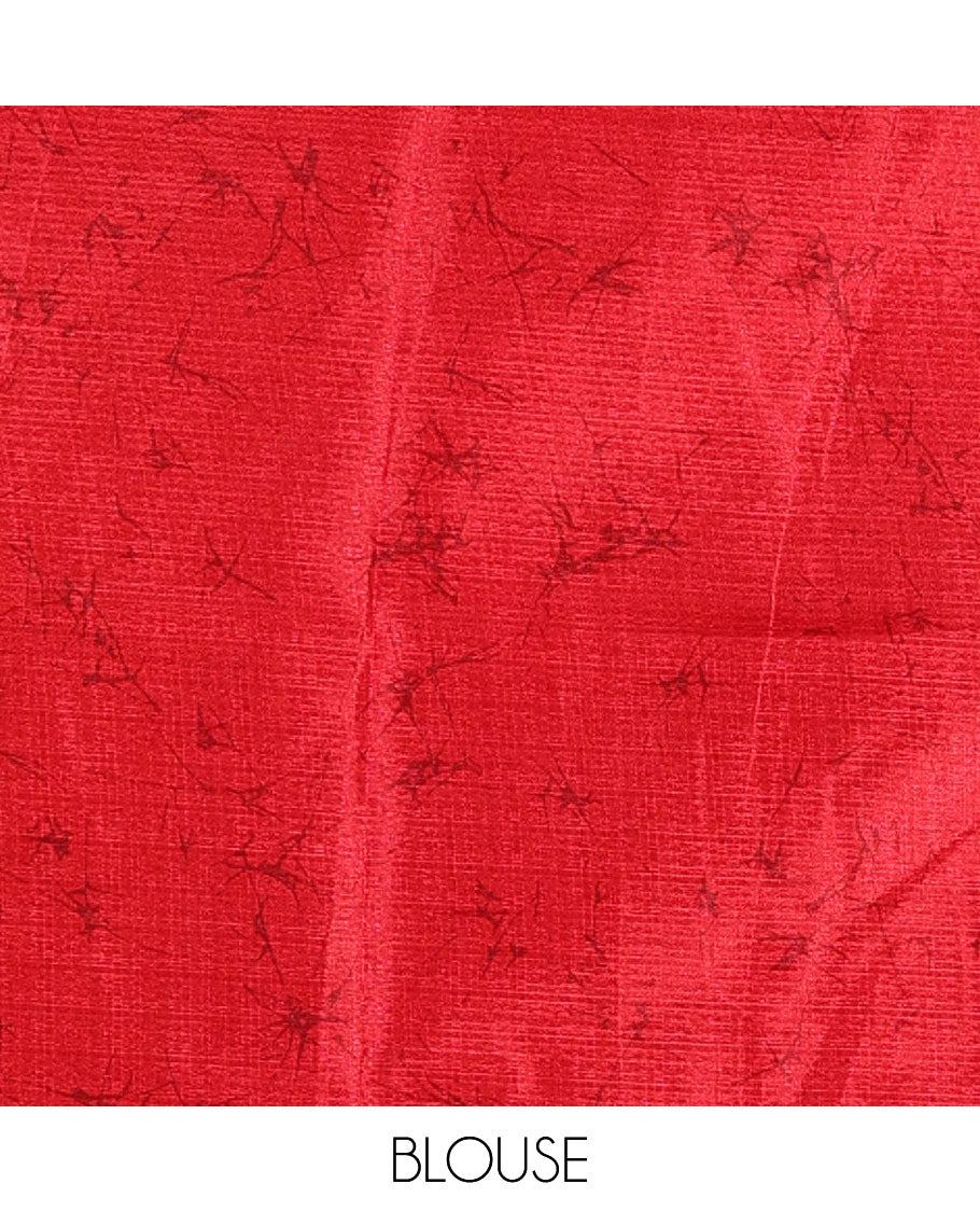 Borderless red fancy motifs batik-printed art khadi silk saree, contrast printed pallu, and a printed blouse