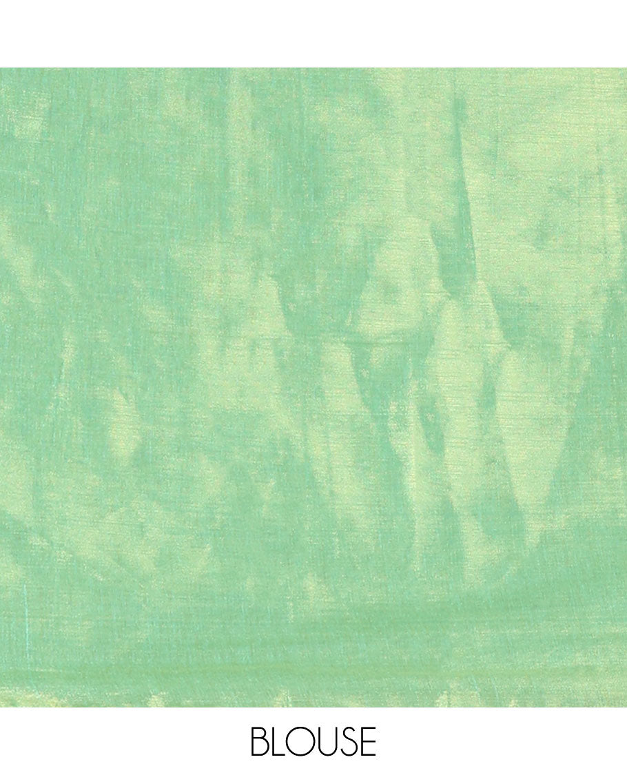 Borderless parrot green full-plain design tissue saree, self-pallu with tassels & matching plain blouse