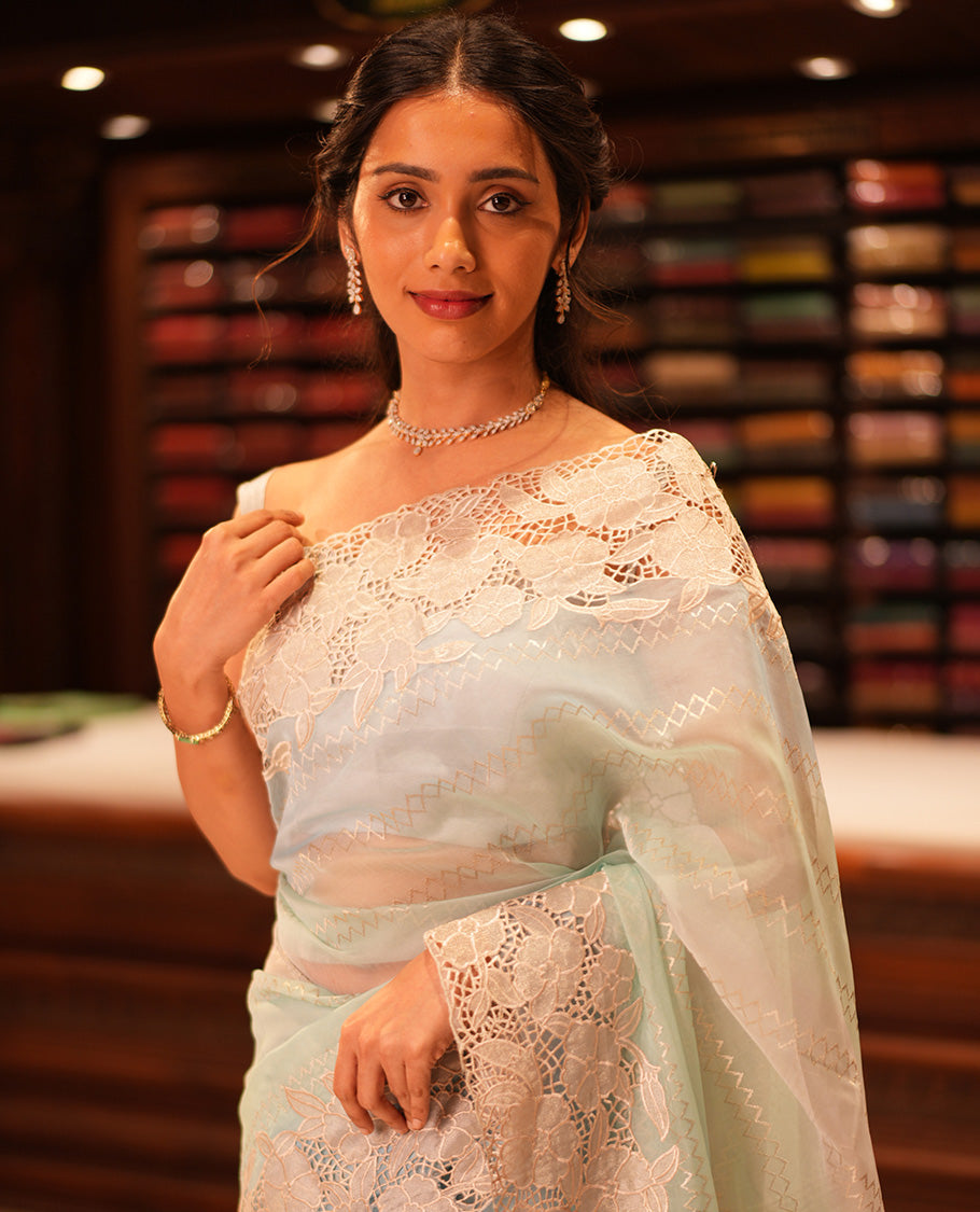 Sky Blue Turkey Organza Saree