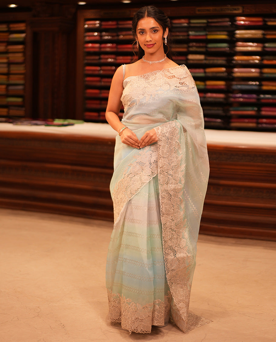 Sky Blue Turkey Organza Saree