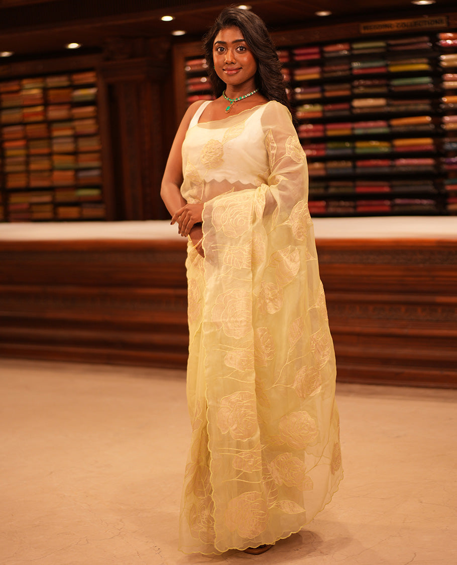 Mint Green Organza Saree