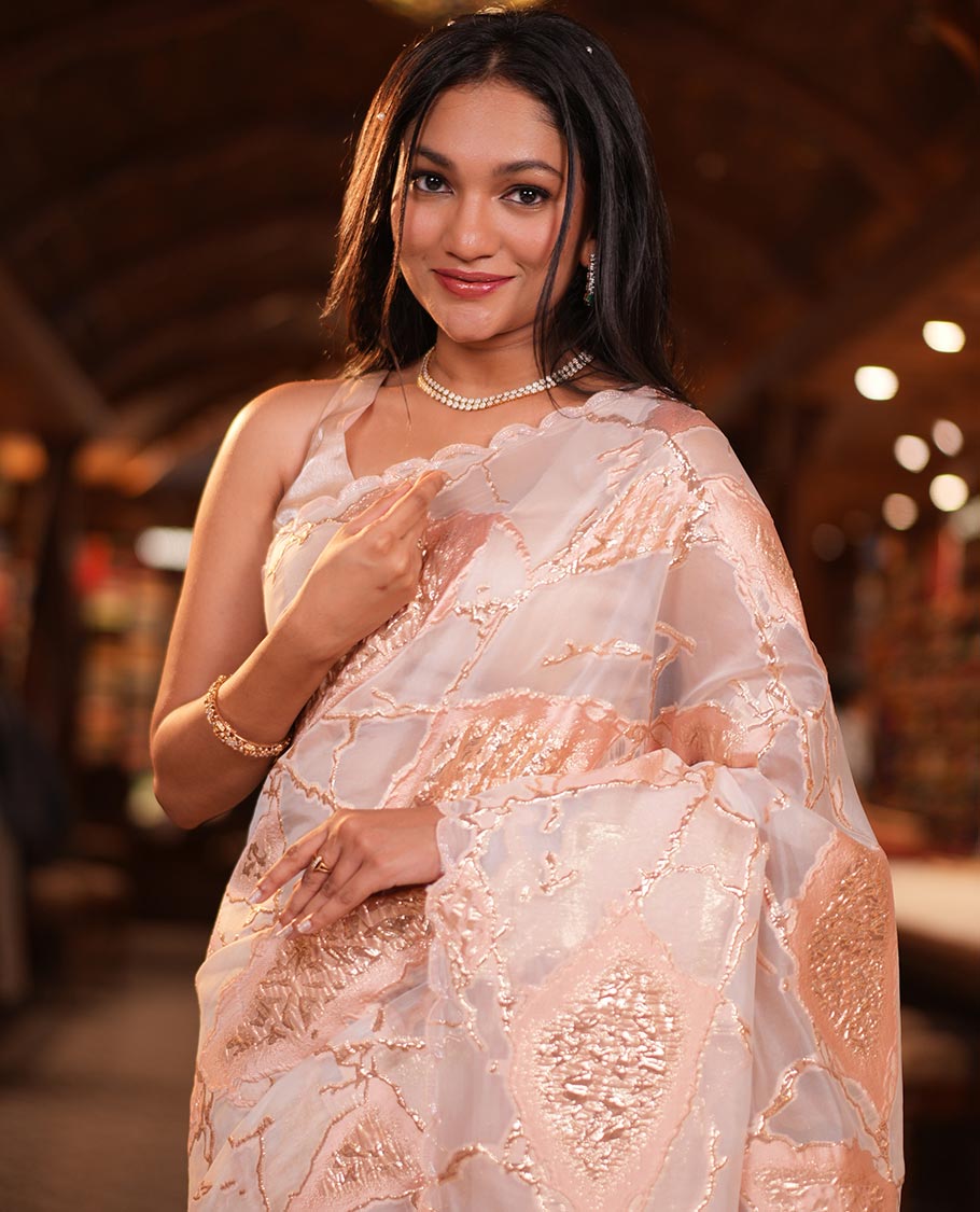 Peach Turkey Organza Saree Features Geometric Glitterwork, Scallop Beadwork Border, Embroidered Blouse