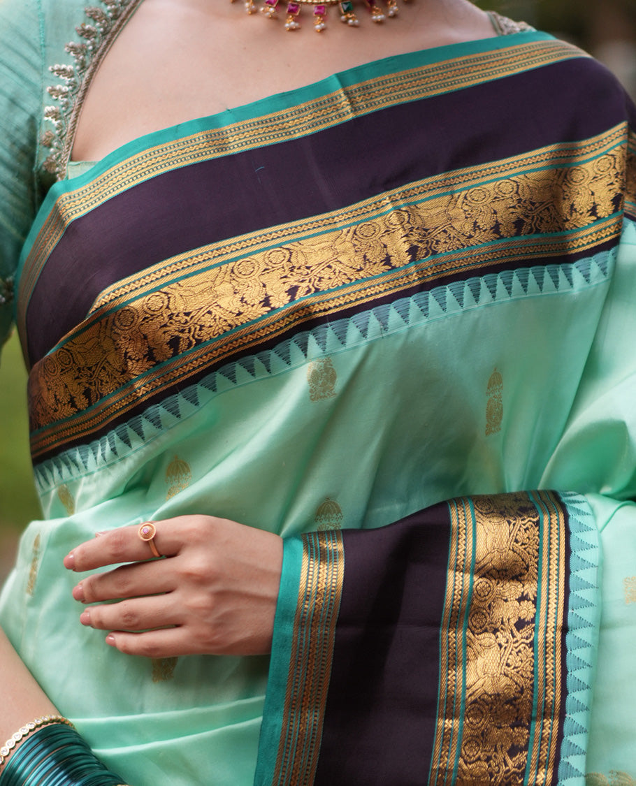 Rexsona Green and Navapalam Vasundhara Silk Saree