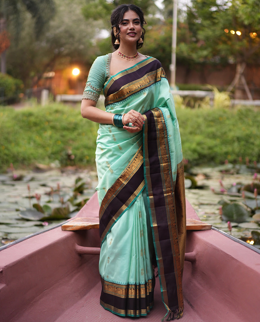 Rexsona Green and Navapalam Vasundhara Silk Saree