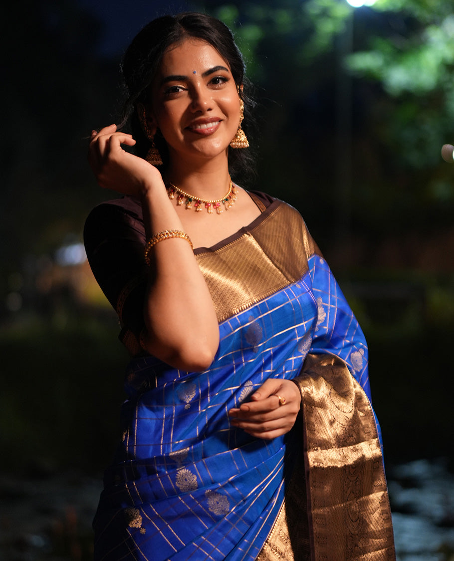 Blue and Brown Vasundhara Silk Saree