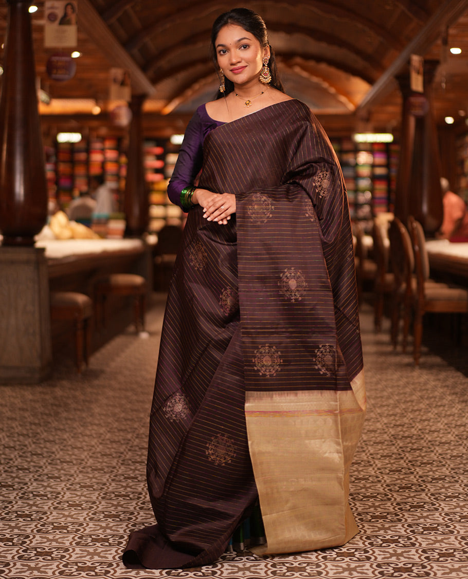 Borderless Brown-Pista Green Mayuri Lite Silk Mix Saree