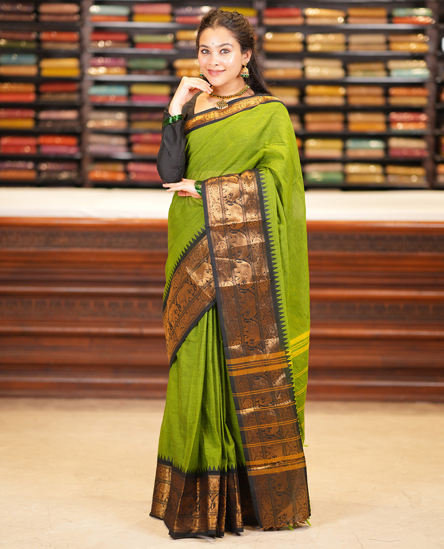 Green Plain Chettinad Cotton Saree, a Contrast Temple Elephant-Peacock Zari Border, Striped Pallu, and a Matching Blouse