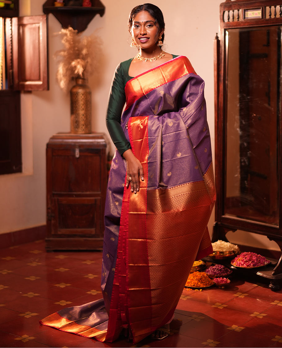 Blue Checked Budget Silk Saree, Contrast Traditional Border, Jaal Pallu, Contrast Blouse