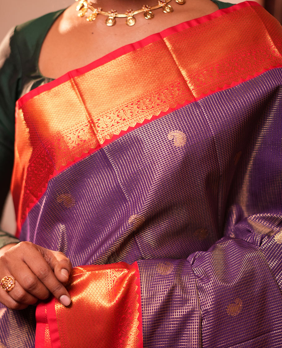 Blue Checked Budget Silk Saree, Contrast Traditional Border, Jaal Pallu, Contrast Blouse