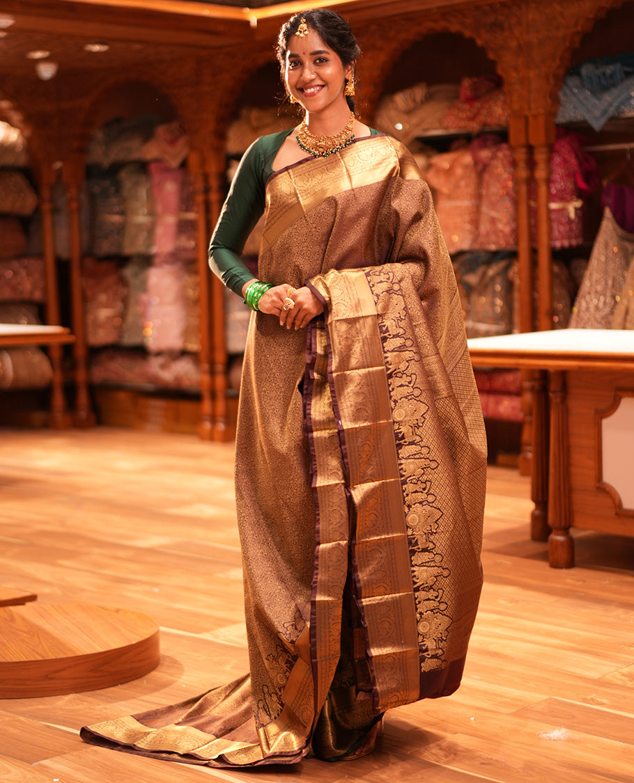 Brown Saree