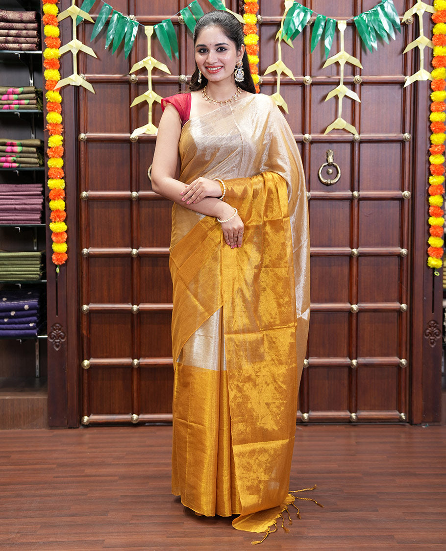 Borderless Silver-Gold Half-And-Half Khadi Tissue Saree, Subtly Sparkling Plain Pallu, and Paired with a Mayching Blouse