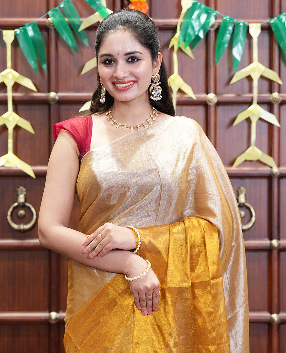 Borderless Silver-Gold Half-And-Half Khadi Tissue Saree, Subtly Sparkling Plain Pallu, and Paired with a Mayching Blouse