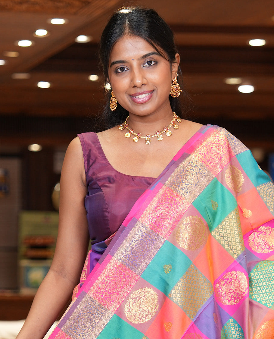 Multi-Color Palum Pazhamum Checked Fancy Soft Silk Saree, Adorned with Zari Buttas, a Zari Border, Rich Pallu, a Matching Blouse