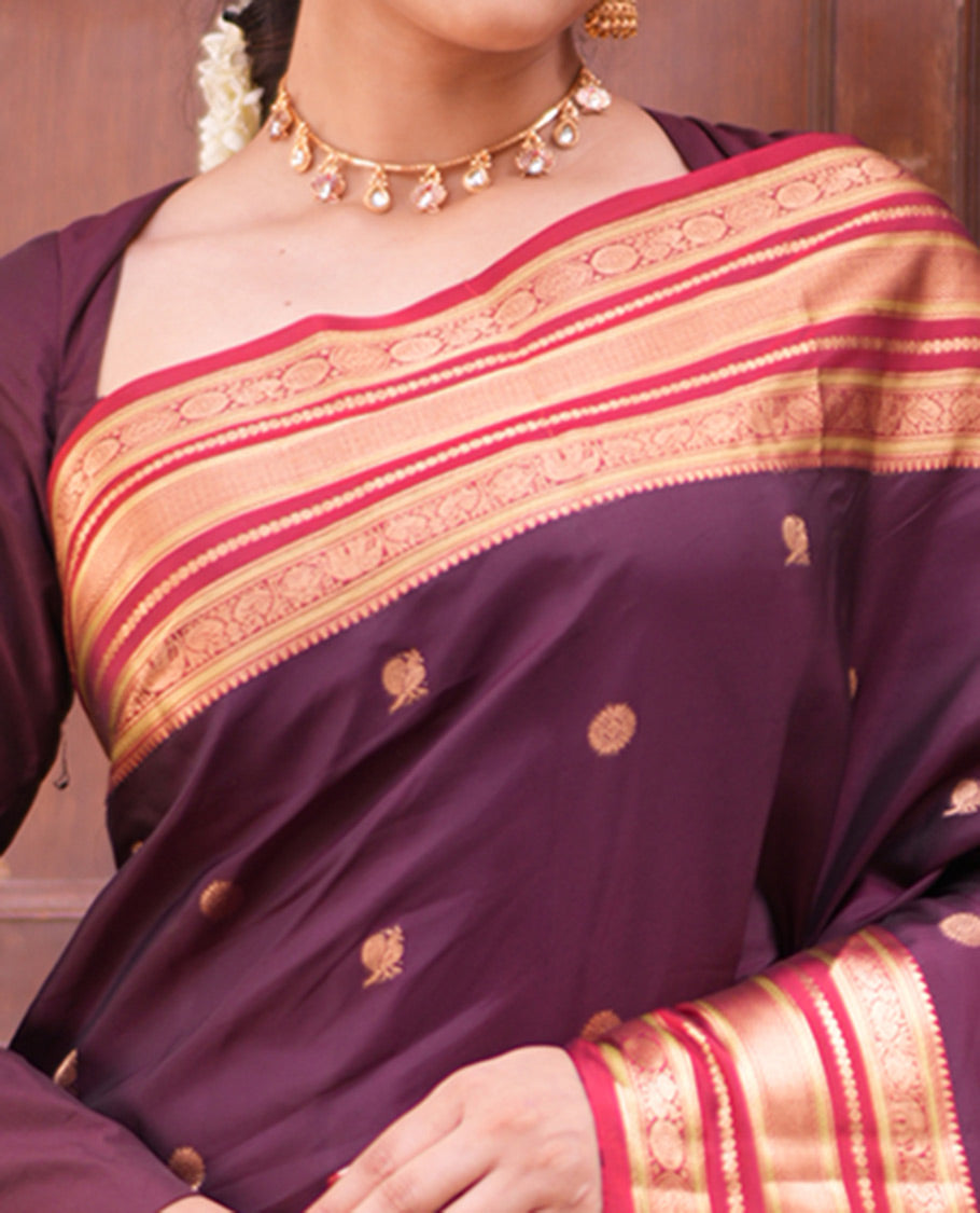 Coffee Brown Mayil-Chakra Vasundhara Lite Silk Mix Saree, Contrast Traditional Border, and Contrast Blouse