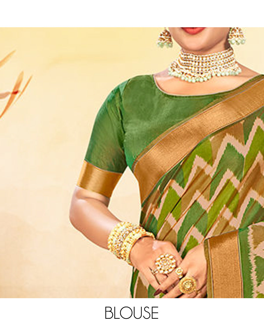 Light Green Chevron Printed Designer Catalog Saree, a Bavanji Border, Patola Printed Pallu, a Contrast Blouse