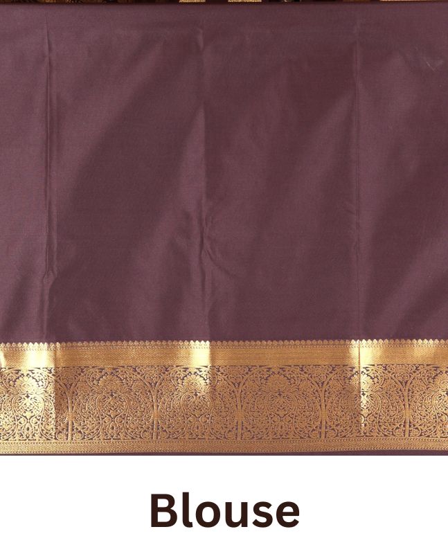 Brown Kanchipuram budget silk saree artfully woven with chakram zari butta enclosed checks all over its body, complemented by zari traditional design border, Mughal-style intricately woven pallu, and paired with a Matching blouse