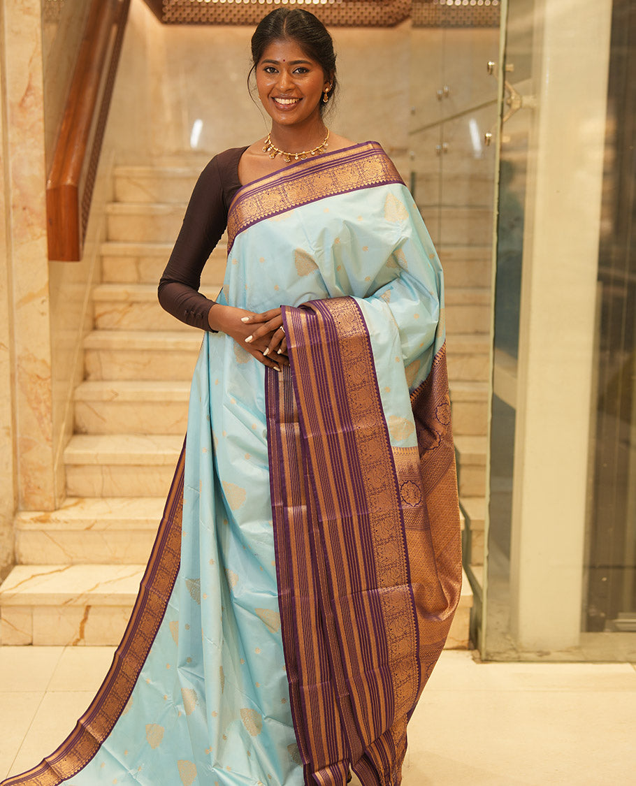 Sky Blue-Purple Budget Silk Saree Features Buttas, Contrast Elephant Border, Pallu, Contrast Blouse