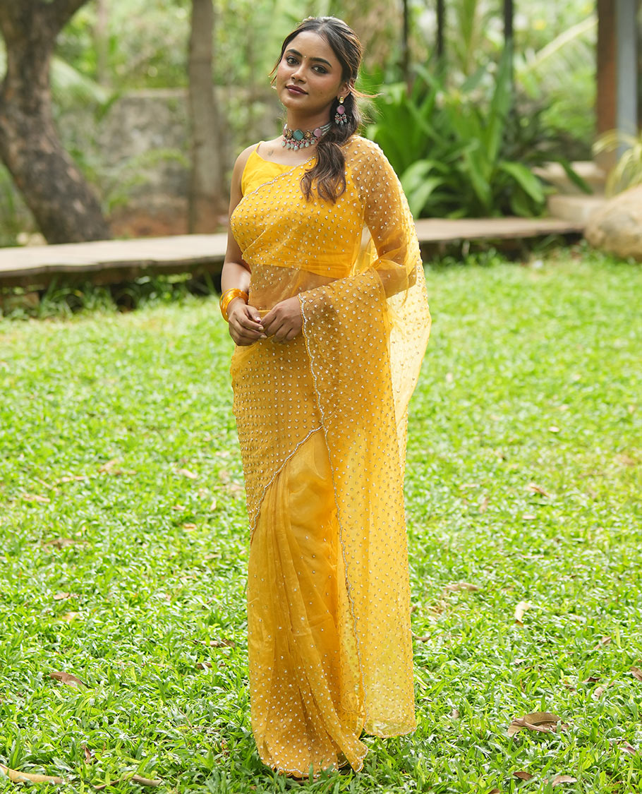 Mustard Organza Glass Tissue Designer Saree With Stonework, a Scallop Border, and a Matching Blouse