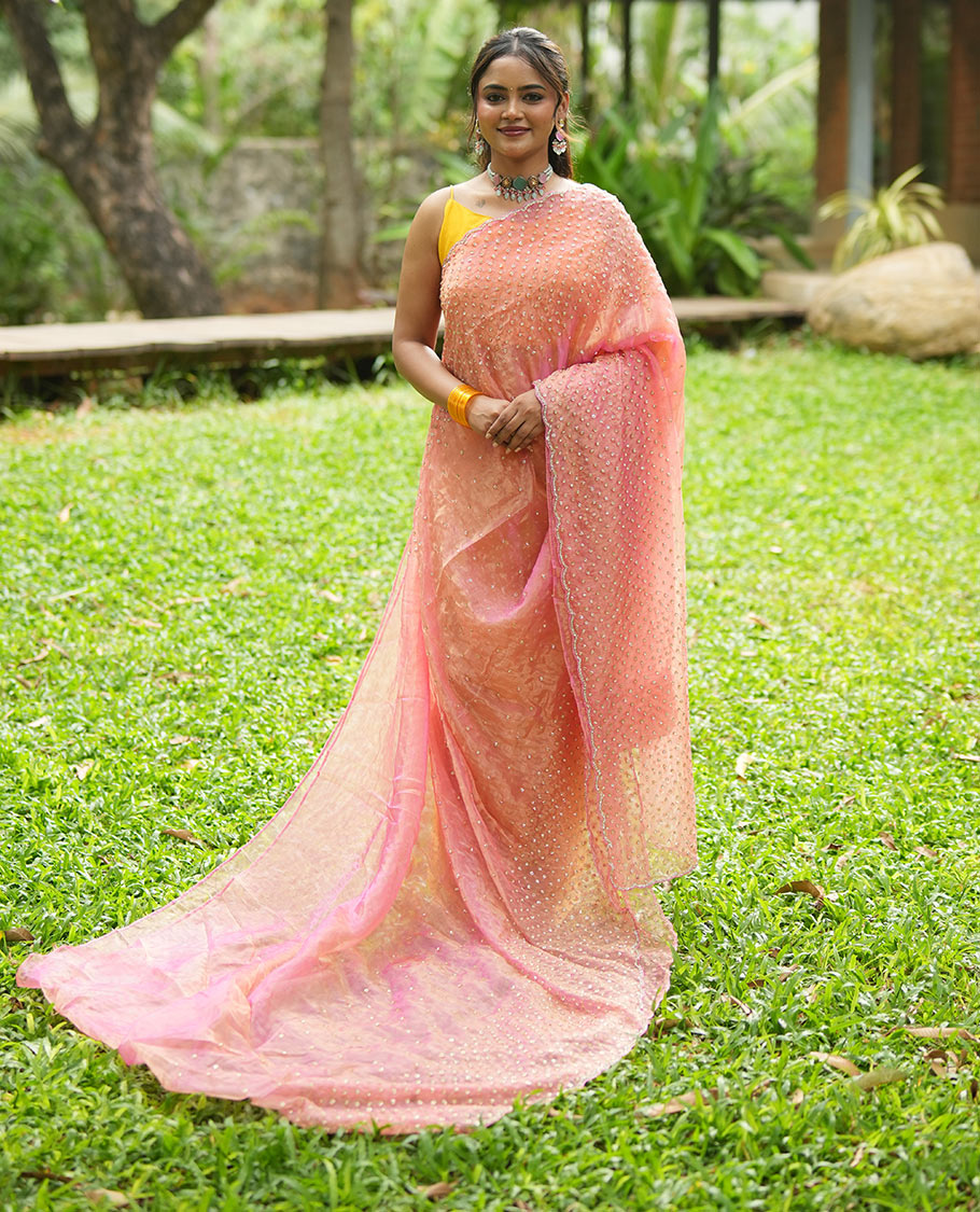 Pink Organza Glass Tissue Saree With Stonework, a Scallop Border, and a Matching Blouse