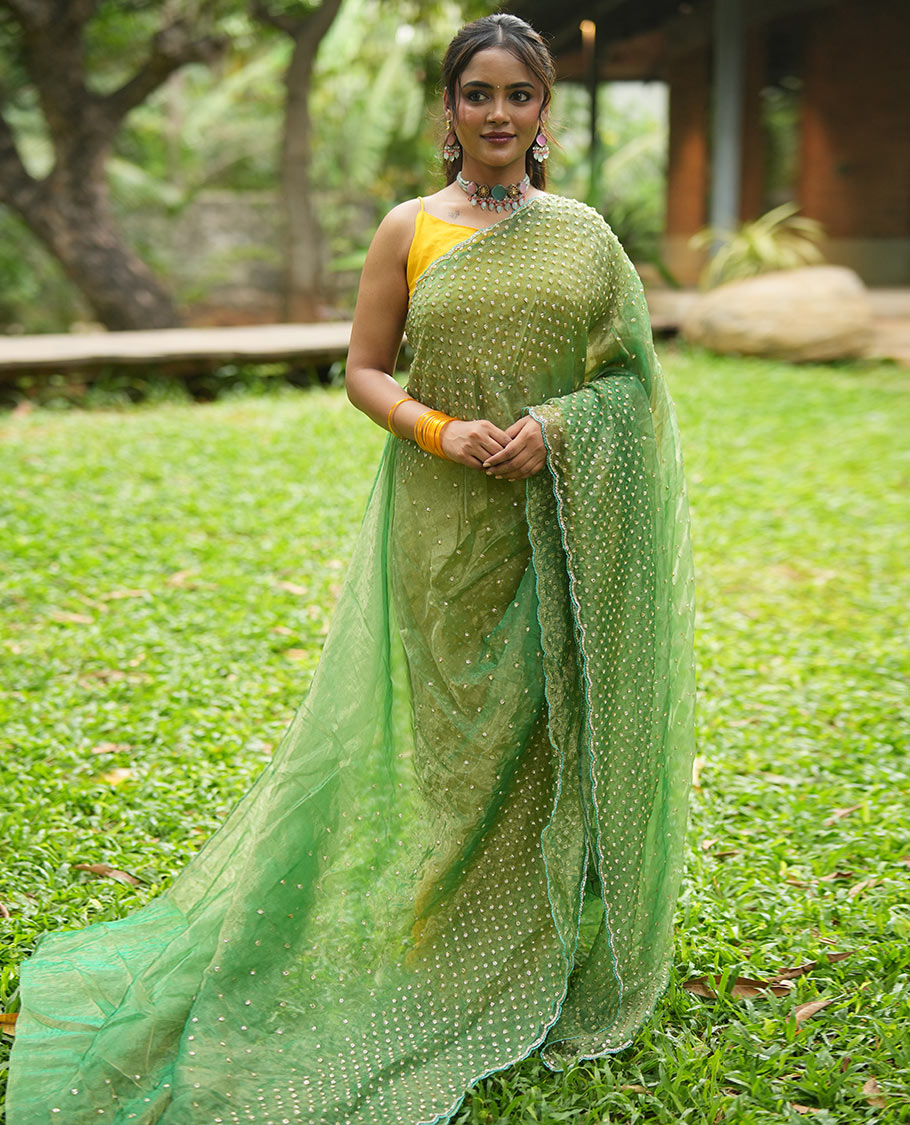 Leaf Green Organza Glass Tissue Designer Saree With Stonework, a Scallop Border, and a Matching Blouse