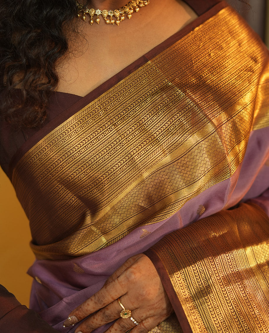 Grey-Brown Zari Buttas Vasundhara Lite Silk Mix Saree, Contrast Geometric Zari Border, Jaal Pallu, a Contrast Blouse