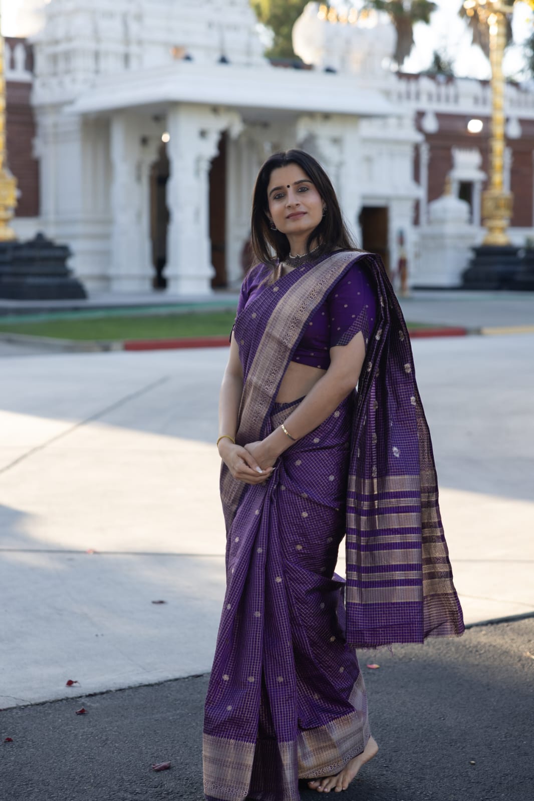 Violet Semi-Tussar Saree, Zari Buttas and Checks, Traditional Border, and Matching Blouse