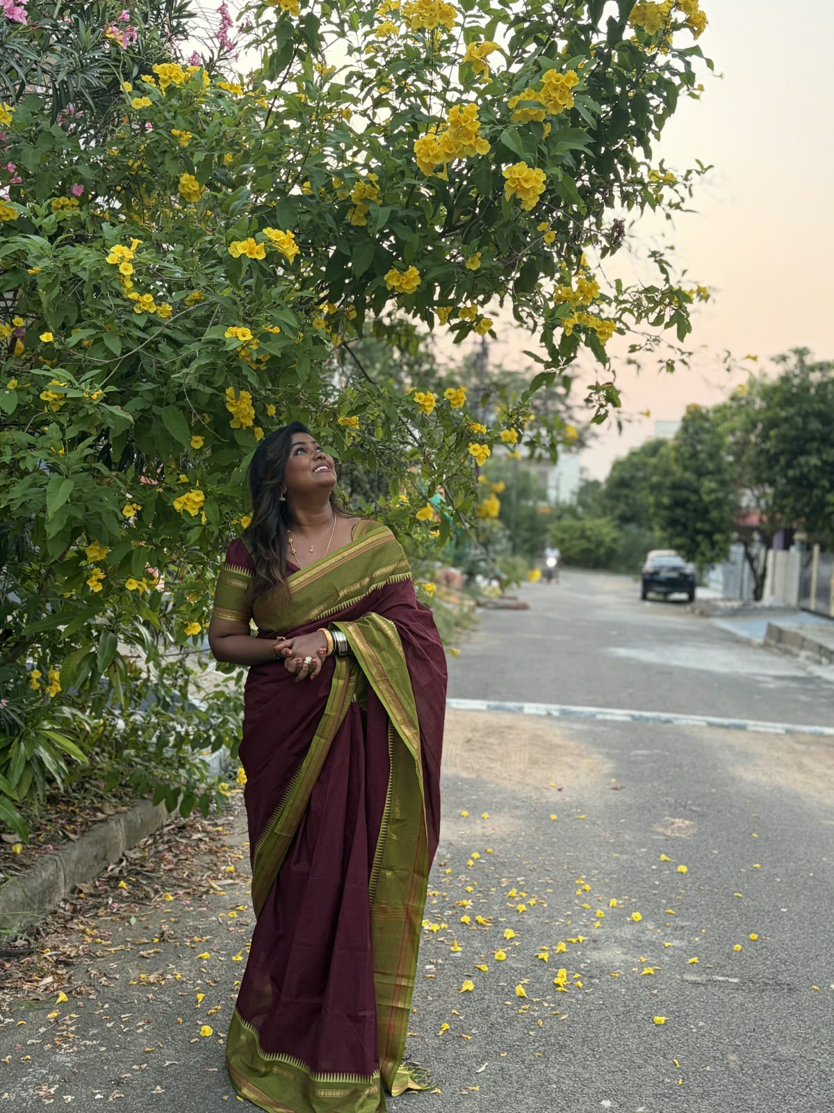 Coffee Brown Plain Chettinad Cotton Saree