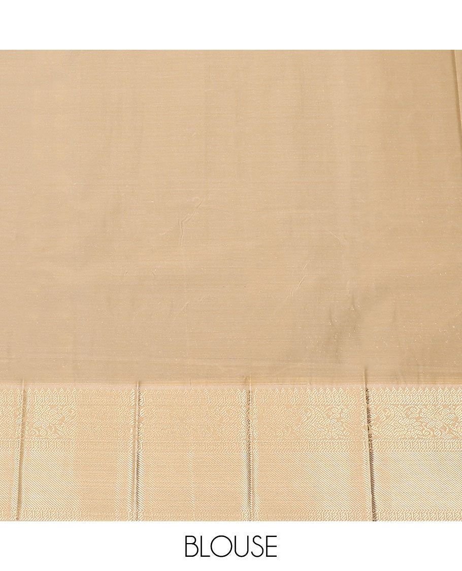 Brown zari design budget silk saree, contrast traditional zari border, and pallu of jaal design