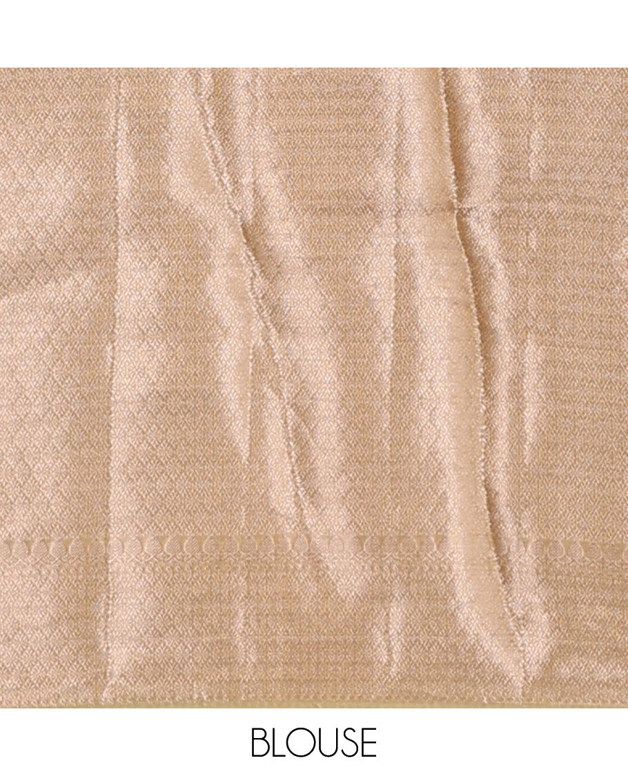 Pastel green sparesely striped tissue saree, Mughal style zari woven border, and intricately zari woven pallu