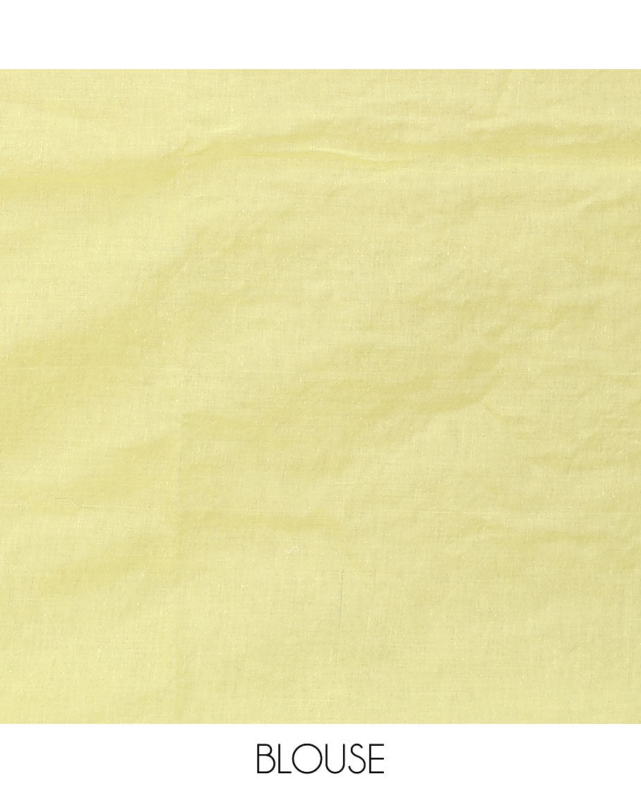 Yellow flowers thread embroidered Lucknowi chikankari saree, floral design border, and flora-paisley embroidered pallu