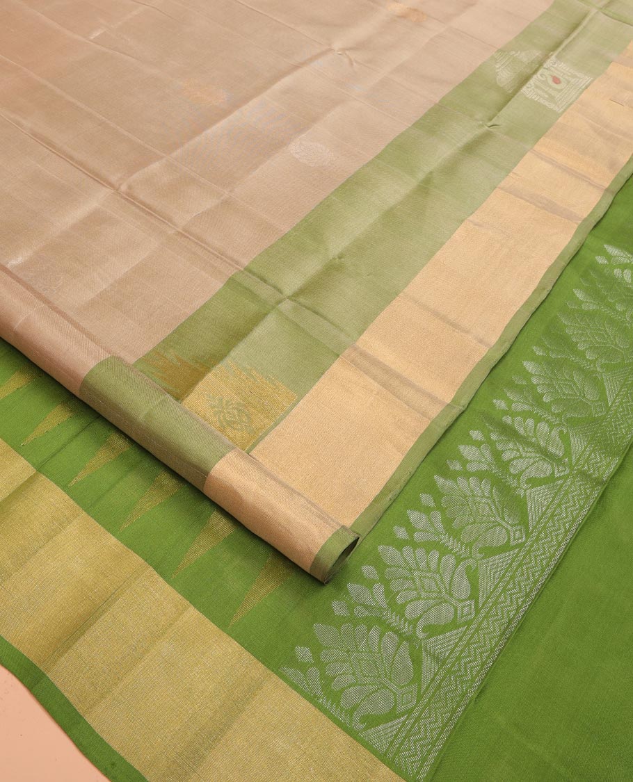 Chiku Color Uppada Silk Saree Adorned with Paisley Buttas, Subtle Contrast Border of Temple Gopuram Motifs, Captivating Pallu Featuring Floral Jaal Design, and Paired with a Contrast Blouse